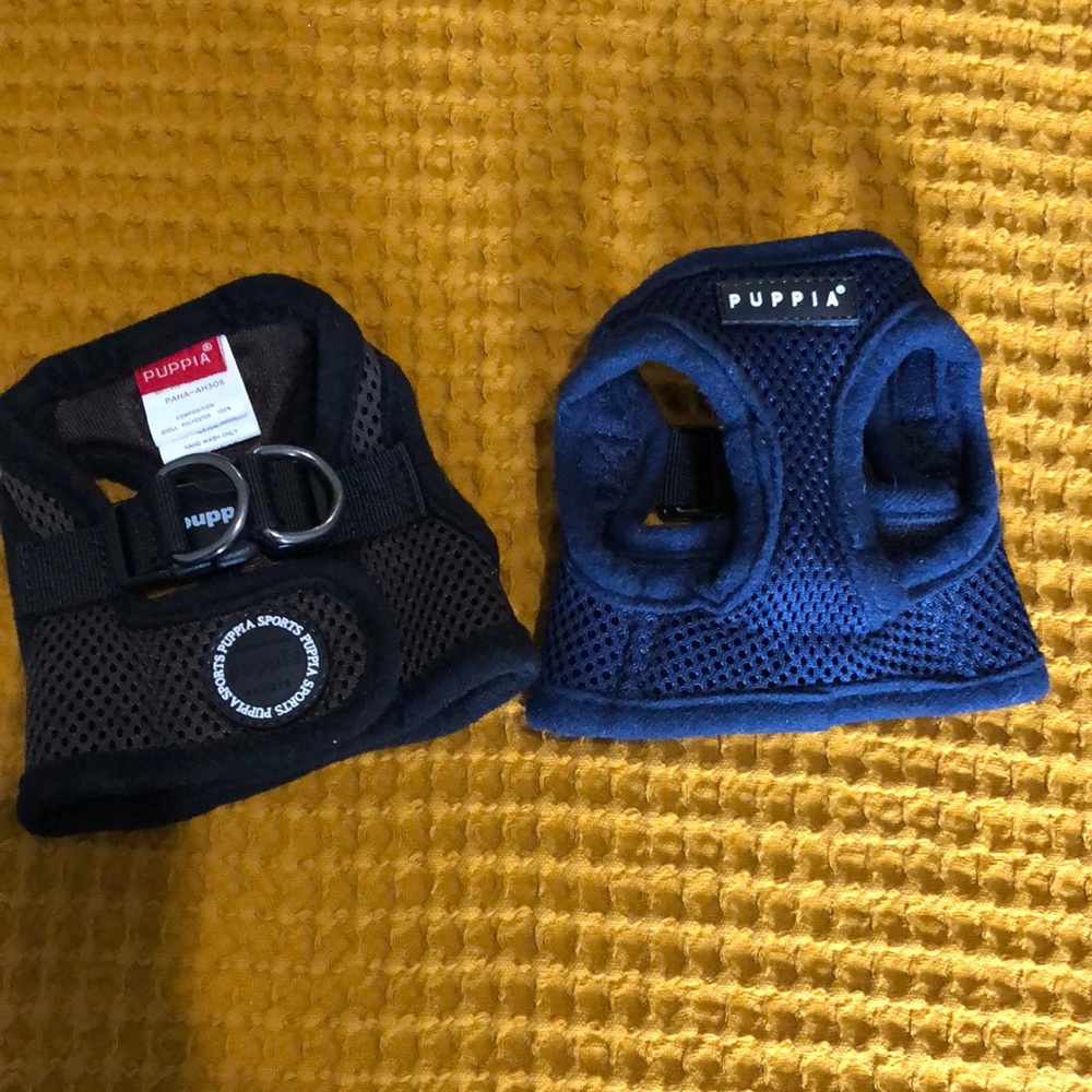 Dogs vest
